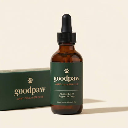 Joint Collagen+
