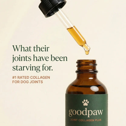 Joint Collagen+